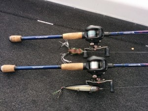 Baits:  River2Sea Rover 128 in Funky Tiger color & a modified hollow-bodied frog. Rods: Ardent Denny Brauer Signature Series rods Reels: Ardent Apex Pros  7.3:1 gear ratio Line: 65lb P-Line Spectrex Braid (frog) & 17lb monofilament (Rover)