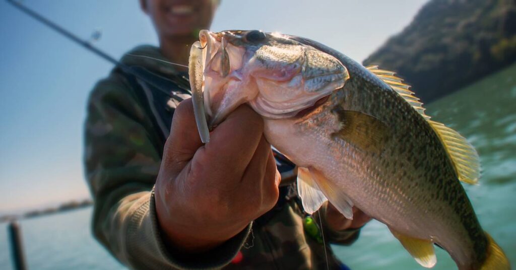 Close-up of a recently caught bass in a fisherman's hand. The person stands in the background and holds a fishing pole.