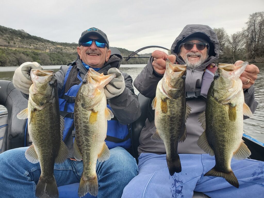 Two brothers holding several largemouth bass caught on Lake Austin during the spawn using drop-shot finesse worms and Texas-rigged stick worms.