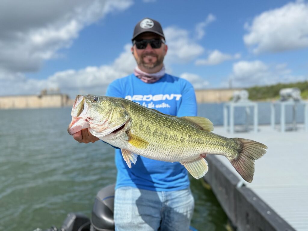 Bassquatch largemouth bass caught on a Neko-rigged creature bait around flooded brush on Lake Travis during June 2026.
